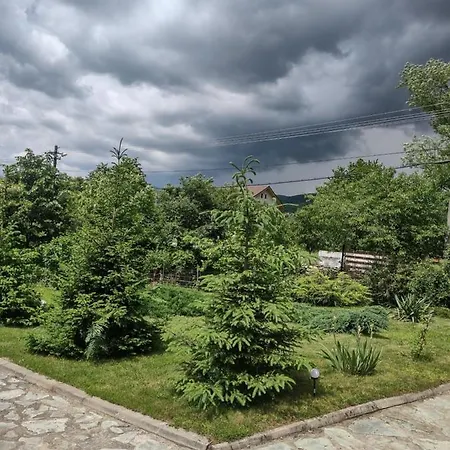 Vakantieboerderij Pensiunea Codruta