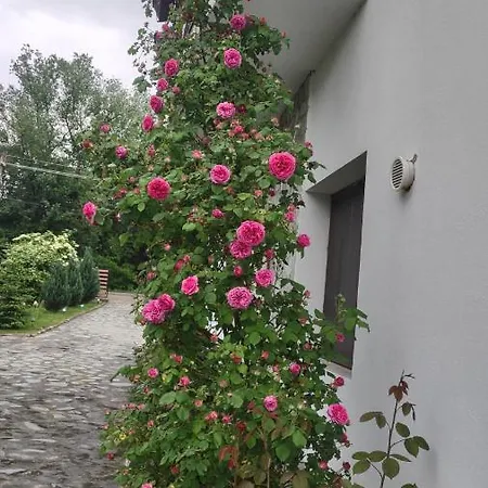 Pensiunea Codruta *