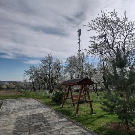 Vakantieboerderij Pensiunea Codruta