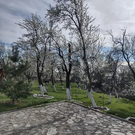 Vakantieboerderij Pensiunea Codruta Cărpinişu