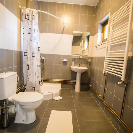 Vakantieboerderij Pensiunea Codruta