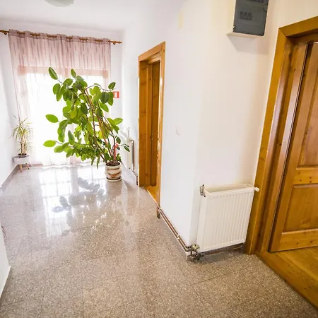 Pensiunea Codruta Vakantieboerderij Cărpinişu