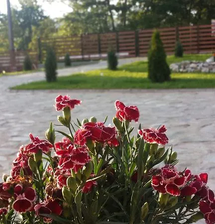 Vakantieboerderij Pensiunea Codruta